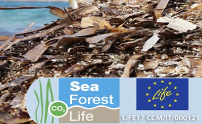 Beached Posidonia, sustainable methods for active management Beached Posidonia, sustainable methods for active management