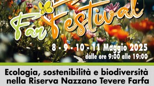 Far Festival 2025