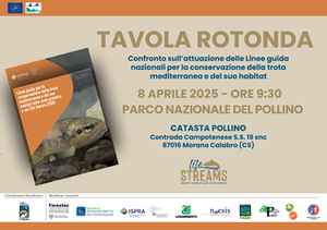 Confronto sull'attuazione delle Linee guida nazionali per la conservazione della trota mediterranea e del suo habitat